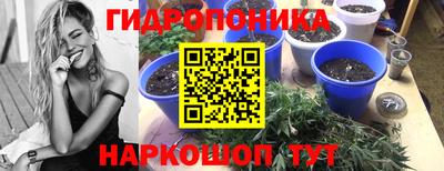 ПСИЛОЦИБИНОВЫЕ ГРИБЫ Пенза