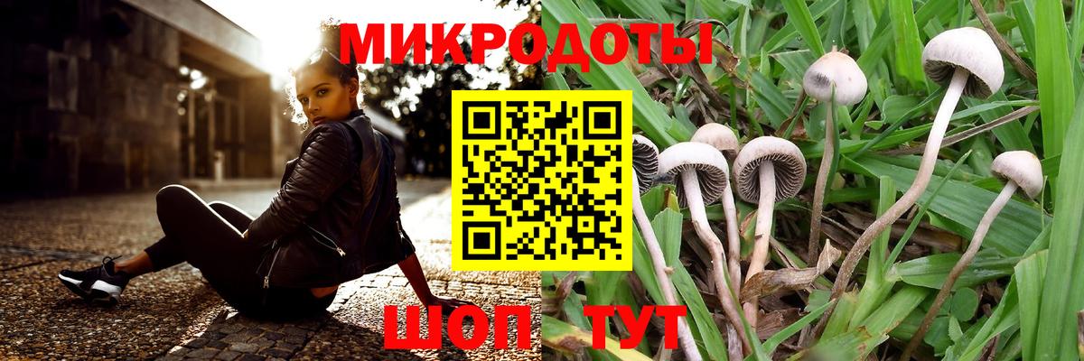 Псилоцибиновые грибы Psilocybine cubensis  Вход с VPN  Россия 